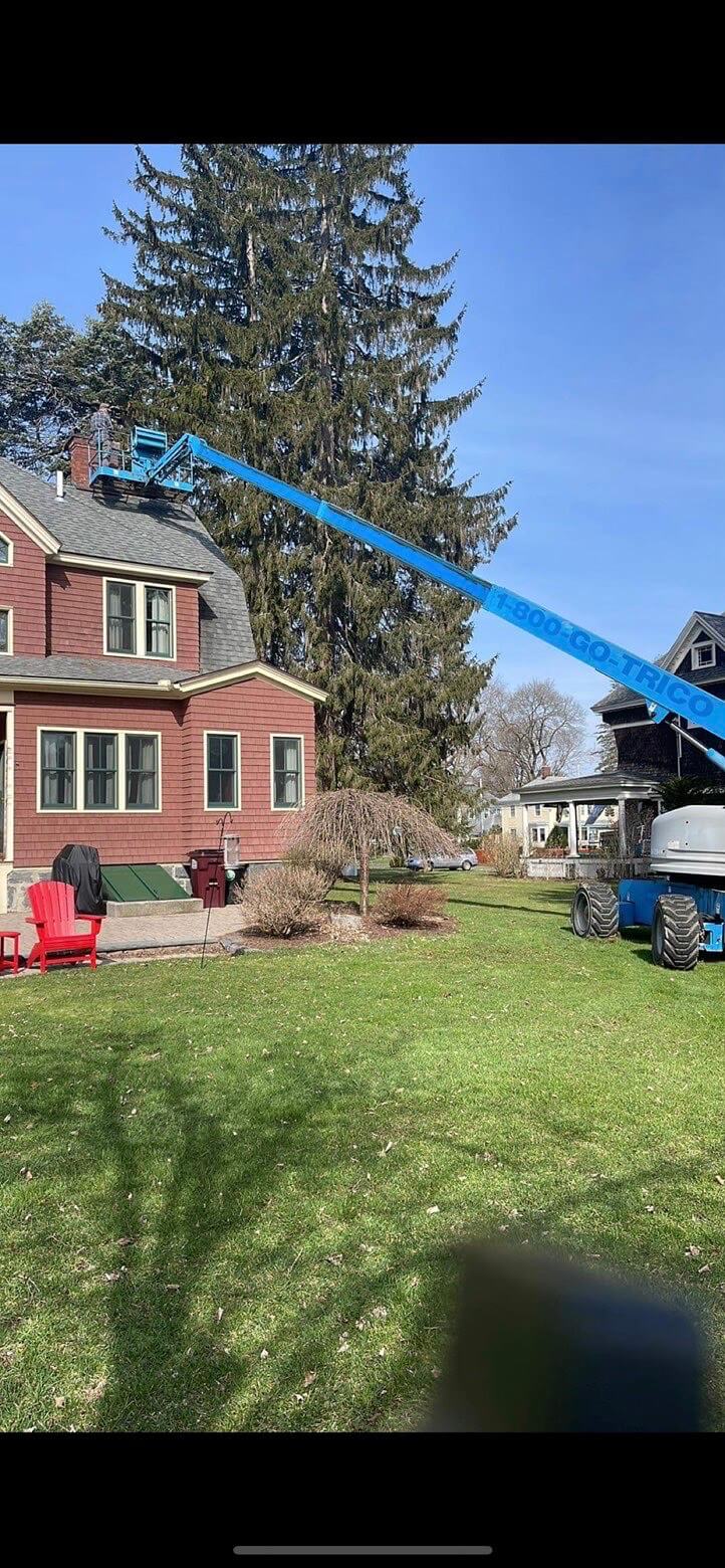 Roof & Tree Service